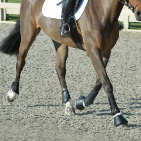 EquiFit Essential Everyday Jumping Boot Set